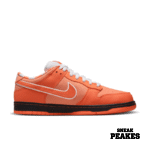 NIKE SB DUNK LOW CONCEPTS ORANGE LOBSTER - Image 5