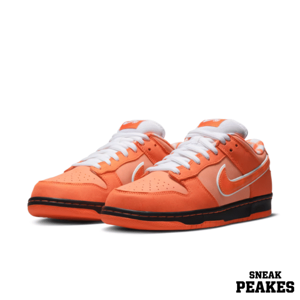 NIKE SB DUNK LOW CONCEPTS ORANGE LOBSTER